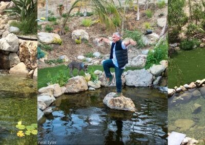 Cesar Millan | 15′ x 22′ Dog Pond
