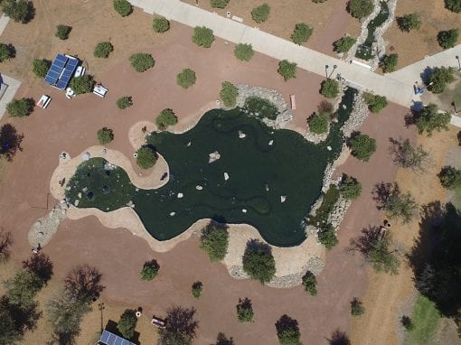California State University Northridge (CSUN) | 100′ x 50′ Pond