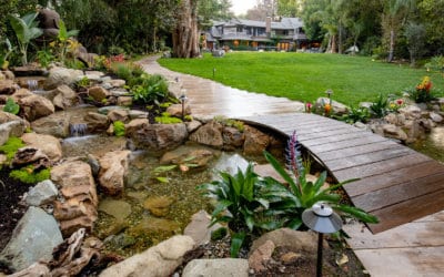 10 Do’s and Don’ts of Outdoor Ponds