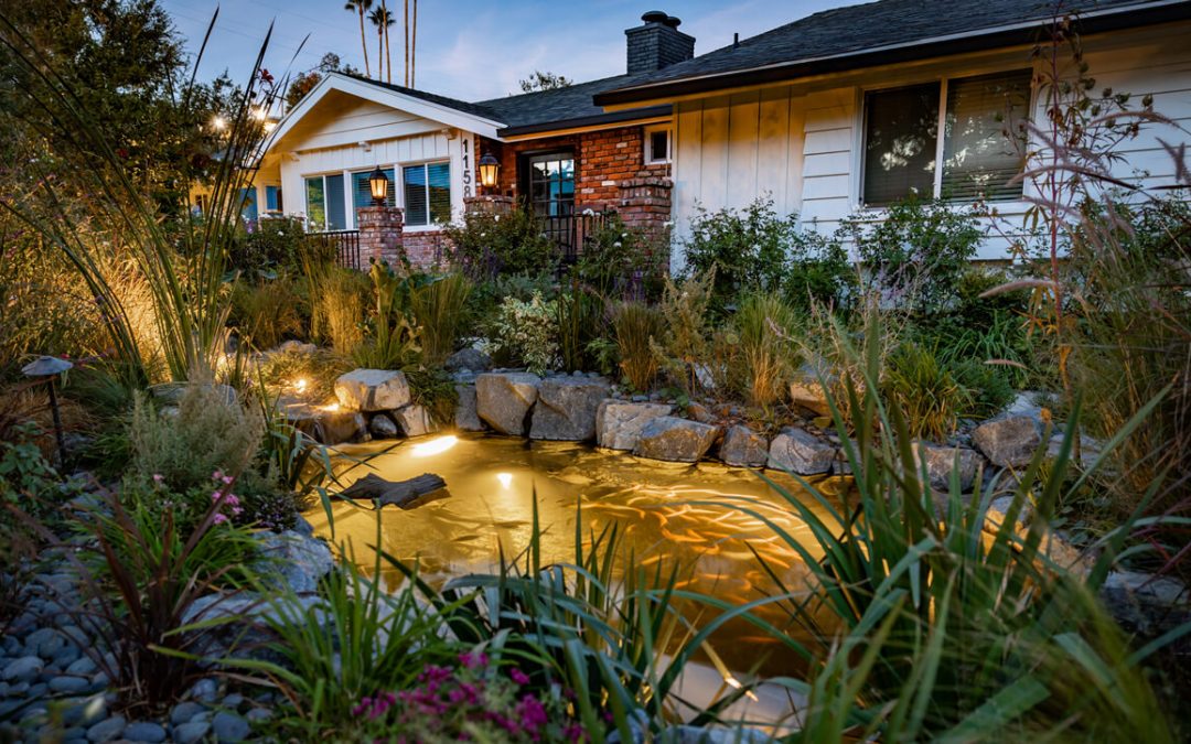 Front Yard Oasis | 3 Small-Medium Ponds